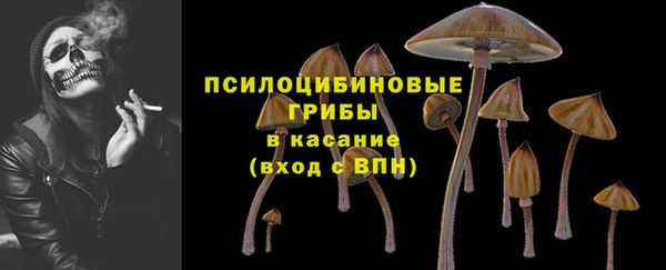 а пвп мука Белокуриха