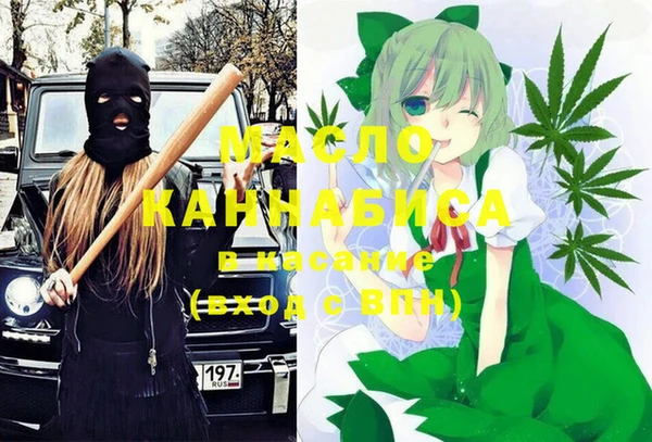 ECSTASY Богородицк